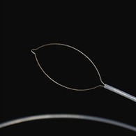 Prong Type útlendskar kropsforceps